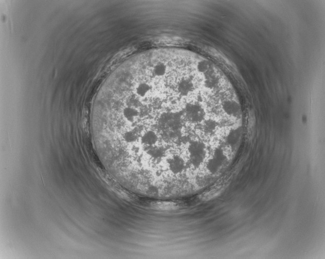 X0000085280361200704092212