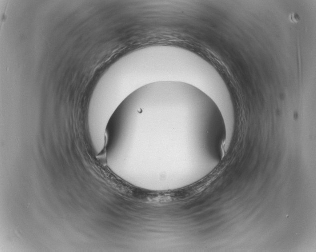 X0000085280362200704092212