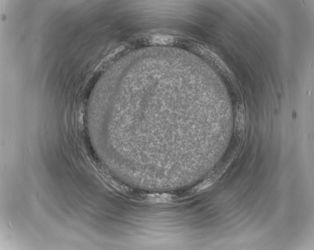 X0000085280363200704092212