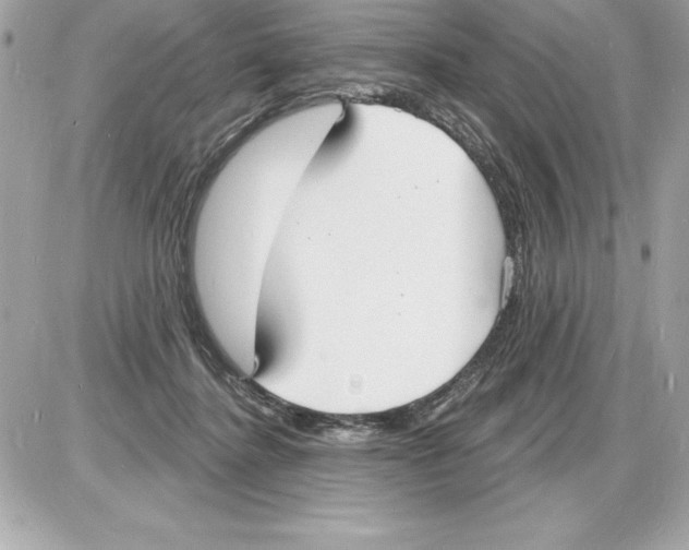 X0000085280364200704092212