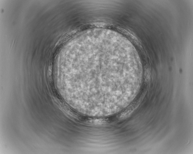 X0000085280365200704092212