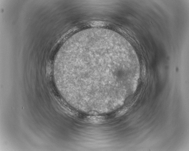 X0000085280367200704092212