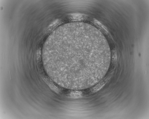 X0000085280369200704092212