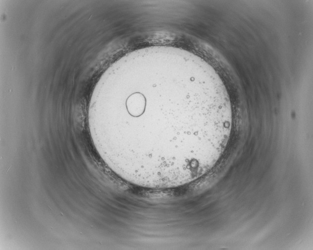 X0000085280370200704092212