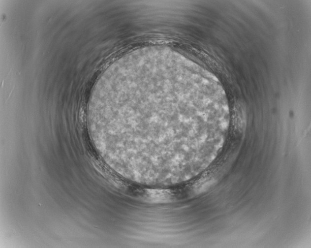 X0000085280371200704092212