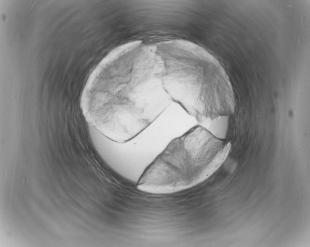 X0000085280373200704092212