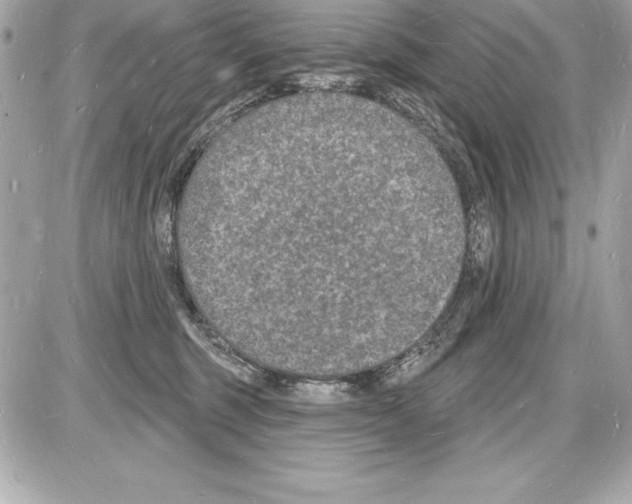 X0000085280375200704092212