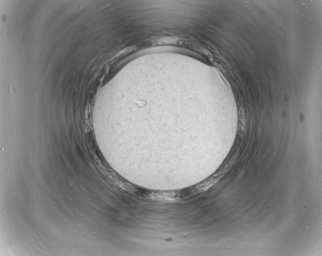 X0000085280378200704092213