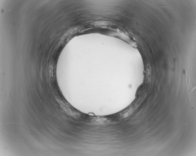 X0000085280379200704092213