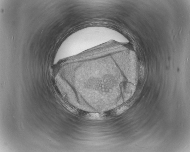 X0000085280381200704092213