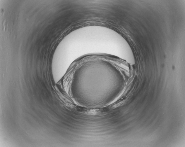 X0000085280382200704092213