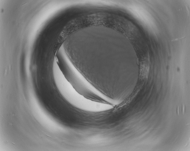 X0000085280383200704092213