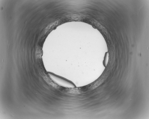 X0000085280384200704092213