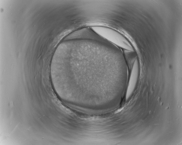 X0000085280385200704092212