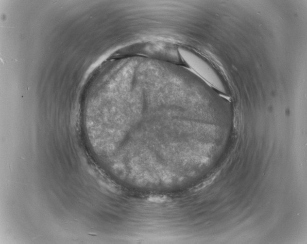 X0000085280388200704092212