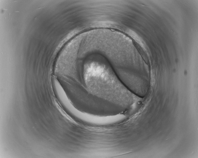 X0000085280389200704092212