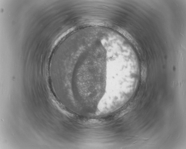 X0000085280390200704092212