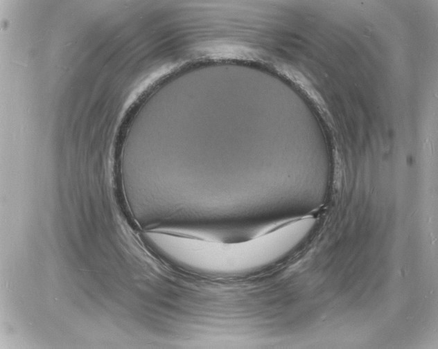 X0000085280391200704092212