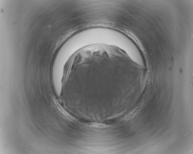 X0000085280393200704092212