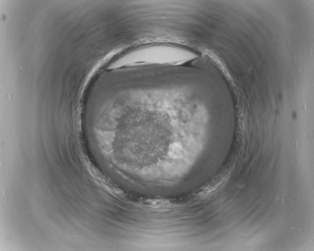 X0000085280395200704092212