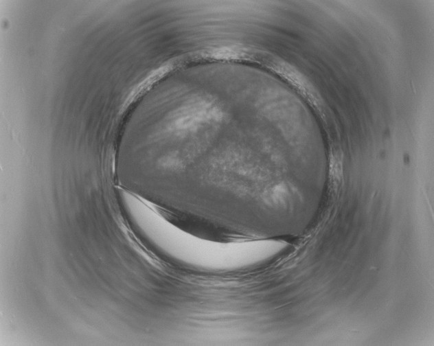 X0000085280397200704092212