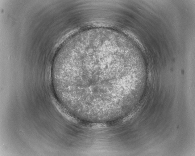 X0000085280398200704092212