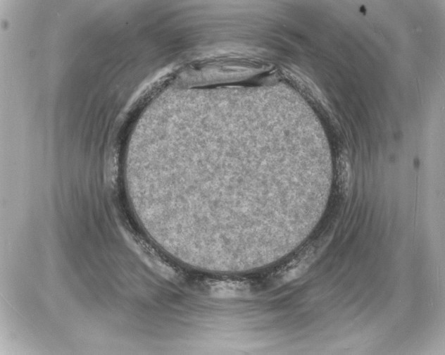 X0000085280400200704092212