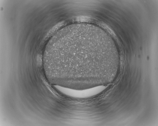 X0000085280401200704092212