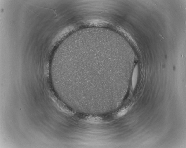 X0000085280403200704092212