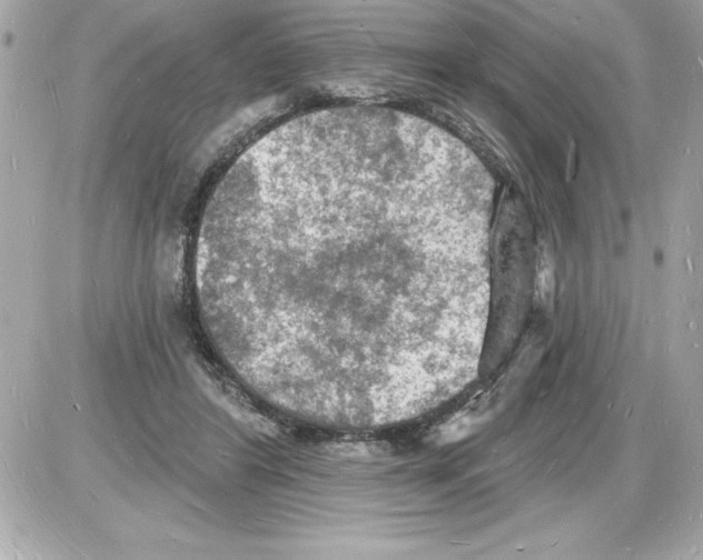 X0000085280404200704092212