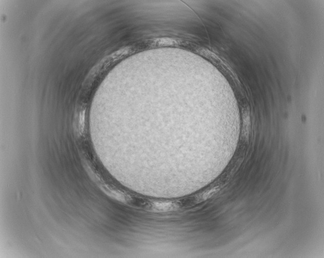 X0000085280406200704092211