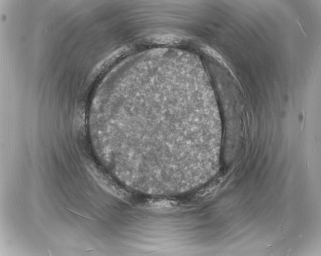 X0000085280407200704092211