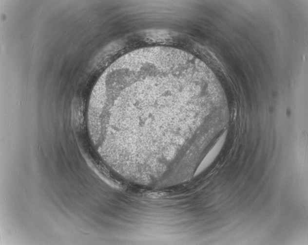 X0000085280408200704092211