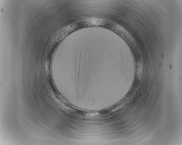 X0000085280410200704092211