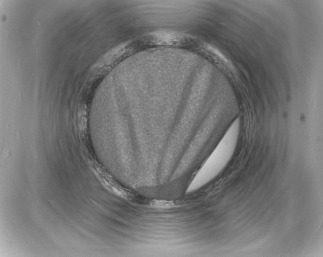 X0000085280413200704092211