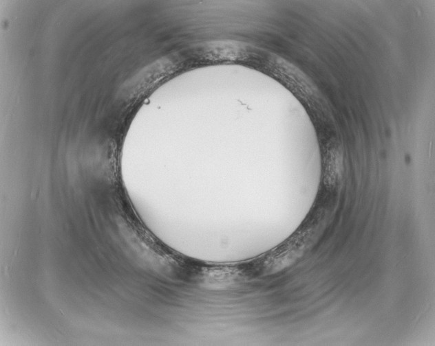 X0000085280414200704092211