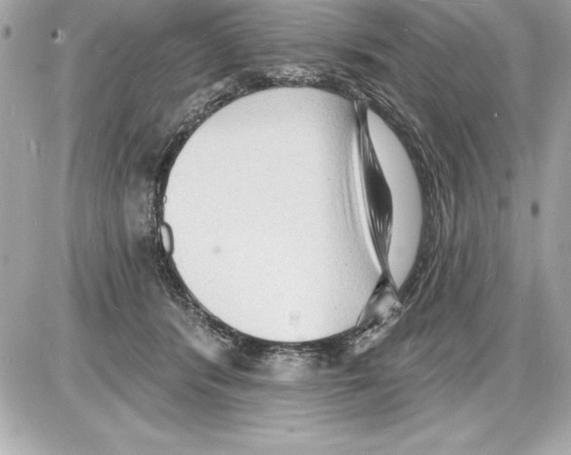 X0000085280416200704092211