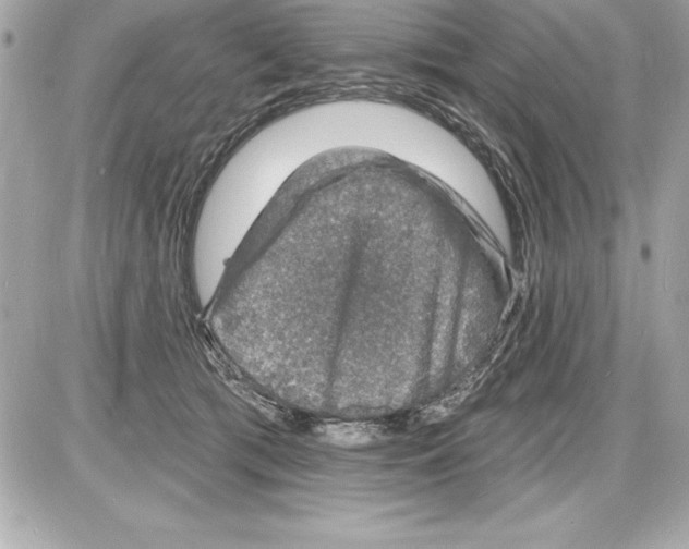 X0000085280417200704092211