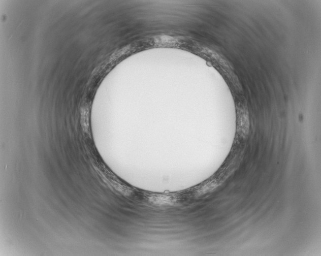 X0000085280419200704092211