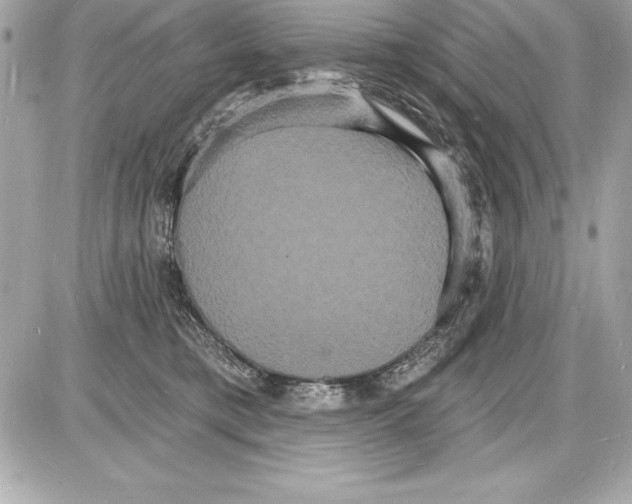 X0000085280421200704092211