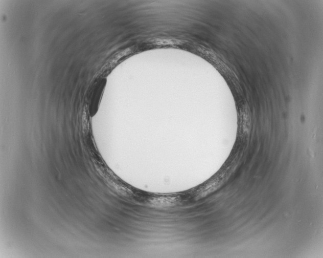 X0000085280422200704092211