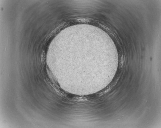 X0000085280424200704092211