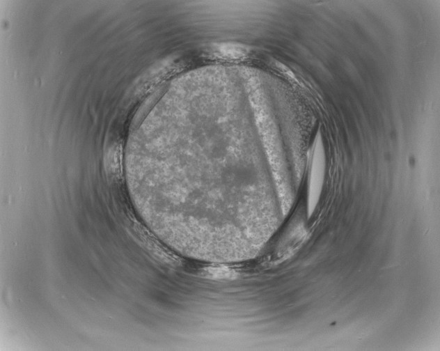 X0000085280425200704092211