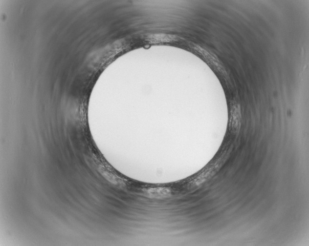 X0000085280426200704092211