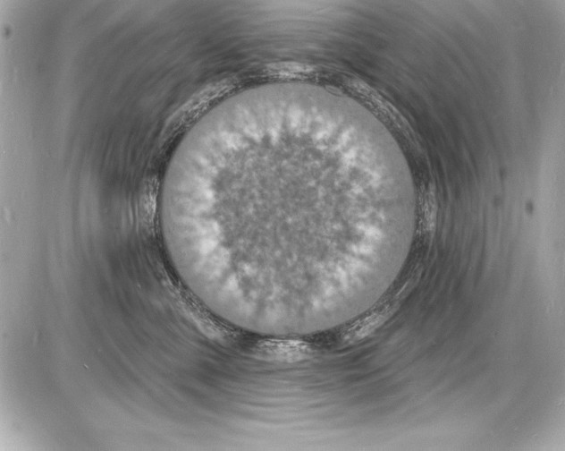 X0000085280427200704092211