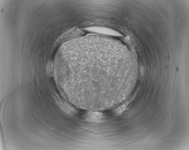 X0000085280429200704092211