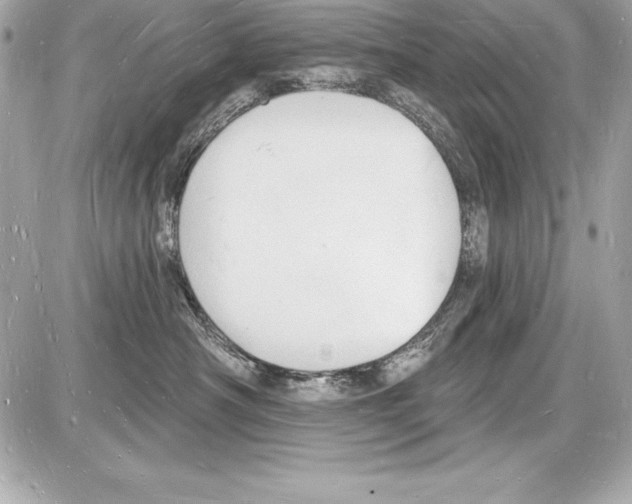 X0000085280430200704092211