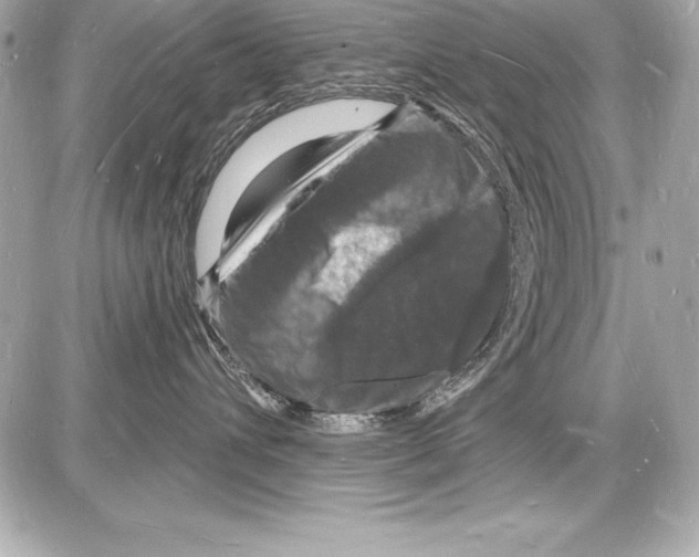 X0000085280432200704092211