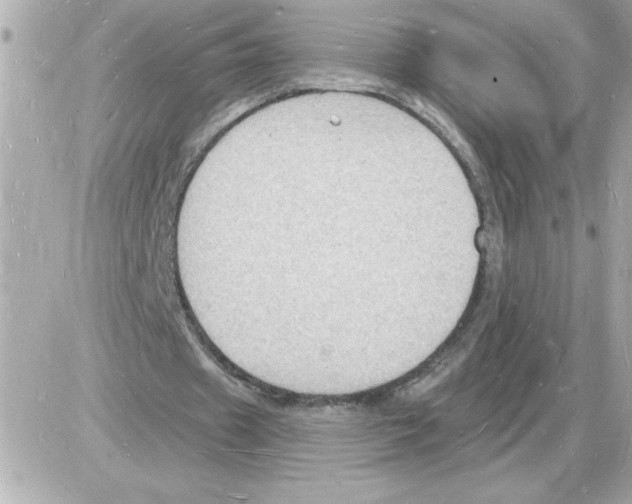 X0000085280433200704092210