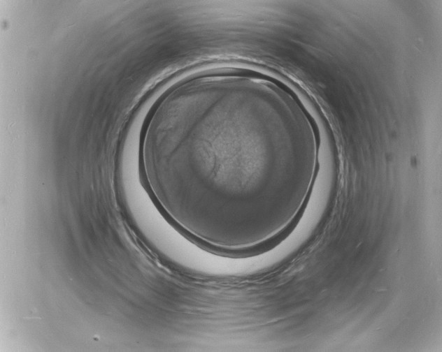 X0000085280434200704092210